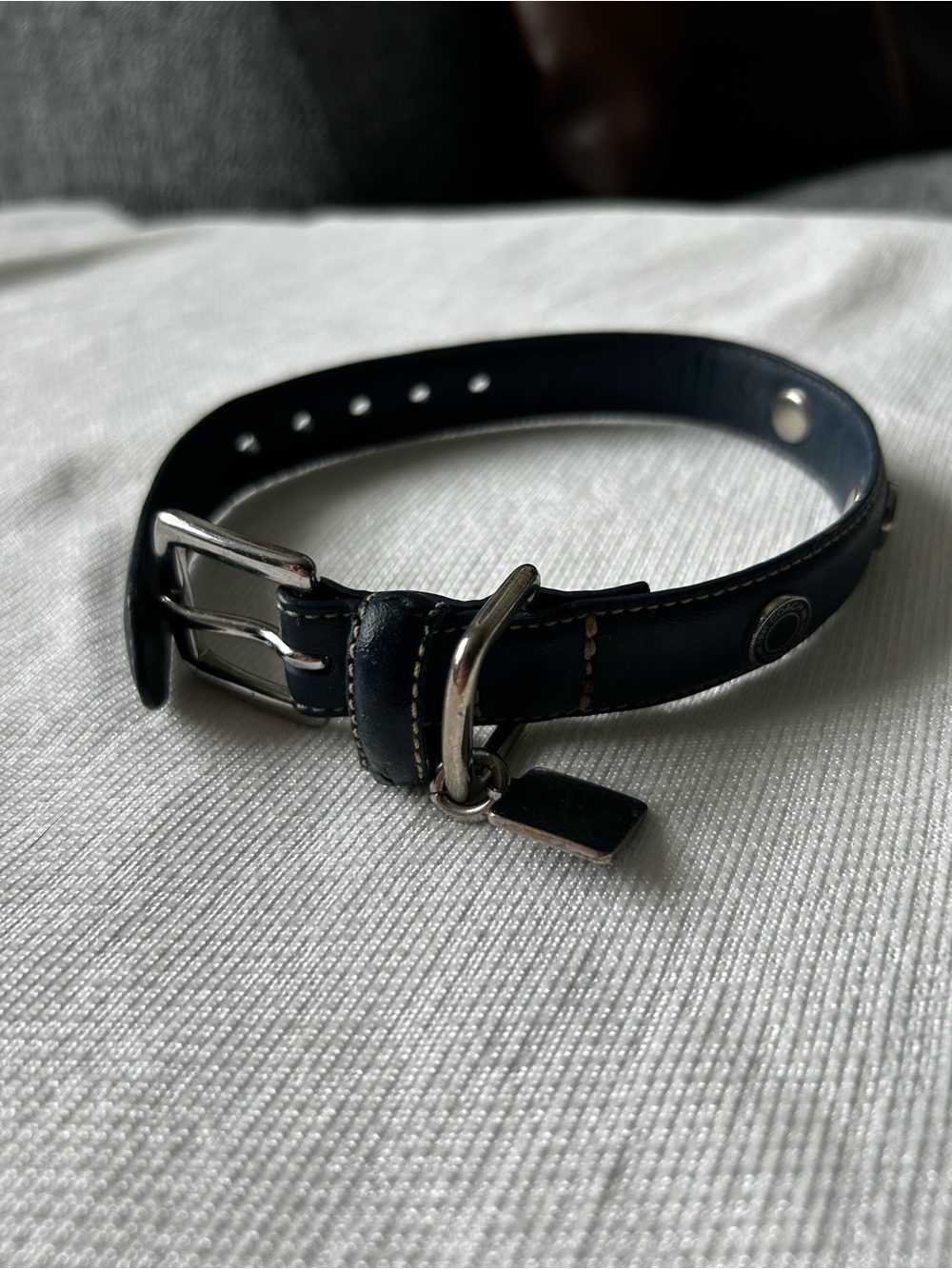 Coach Leather Blue Dog Collar with Silver-Tone Hardware and Coach Charm - Picture 7 of 10